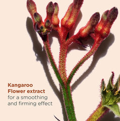 كلارنس توتال آي سموث - بلسم لتنعيم منطقة تحت العين