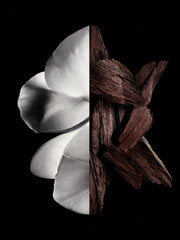 جيفنشي - جنتلمان (EDP) بويسي (100مل)