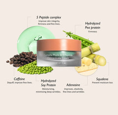 Haruharu CENTELLA PHYTO & 5 PEPTIDE CONCENTRATE CREAM 30ML