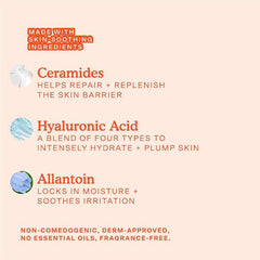 Sephora Favorites Vacay All Day Makeup Value Set