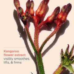 CLARINS Extra-Firming Night Cream Anti Aging + Visibly Firming Moisturizer