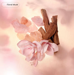 مسك كيالي | 12