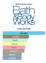 Bath and Body Works On The Horizon Fine Fragrance Mist