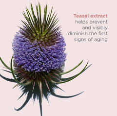 كلارنس توتال آي ريفايف