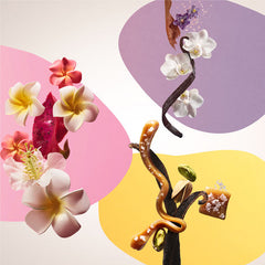 Sol de Janeiro Trio of Mini Creams 3 x 50ml