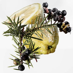 Terre d'Hermès Eau Givrée Eau de Parfum بخاخ قابل لإعادة التعبئة