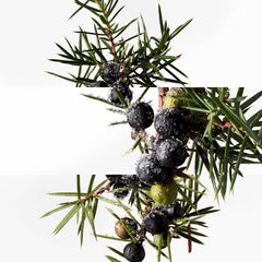 Terre d'Hermès Eau Givrée Eau de Parfum بخاخ قابل لإعادة التعبئة