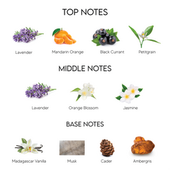 YSL Libre 30mL Eau de Parfum