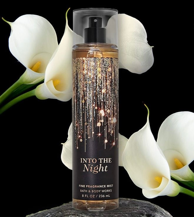 Bath and Body Works INTO THE NIGHT Fine Fragrance Mist