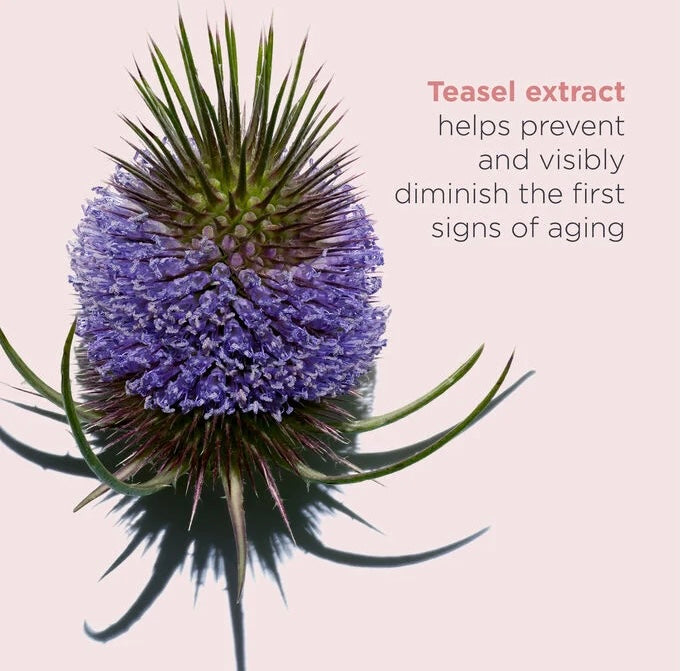 CLARINS Total Eye Revive
